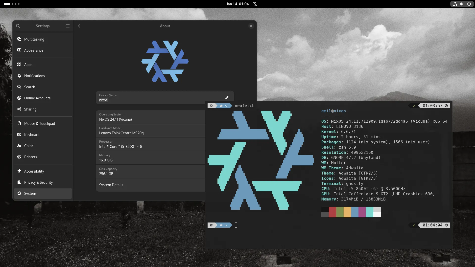 nixos