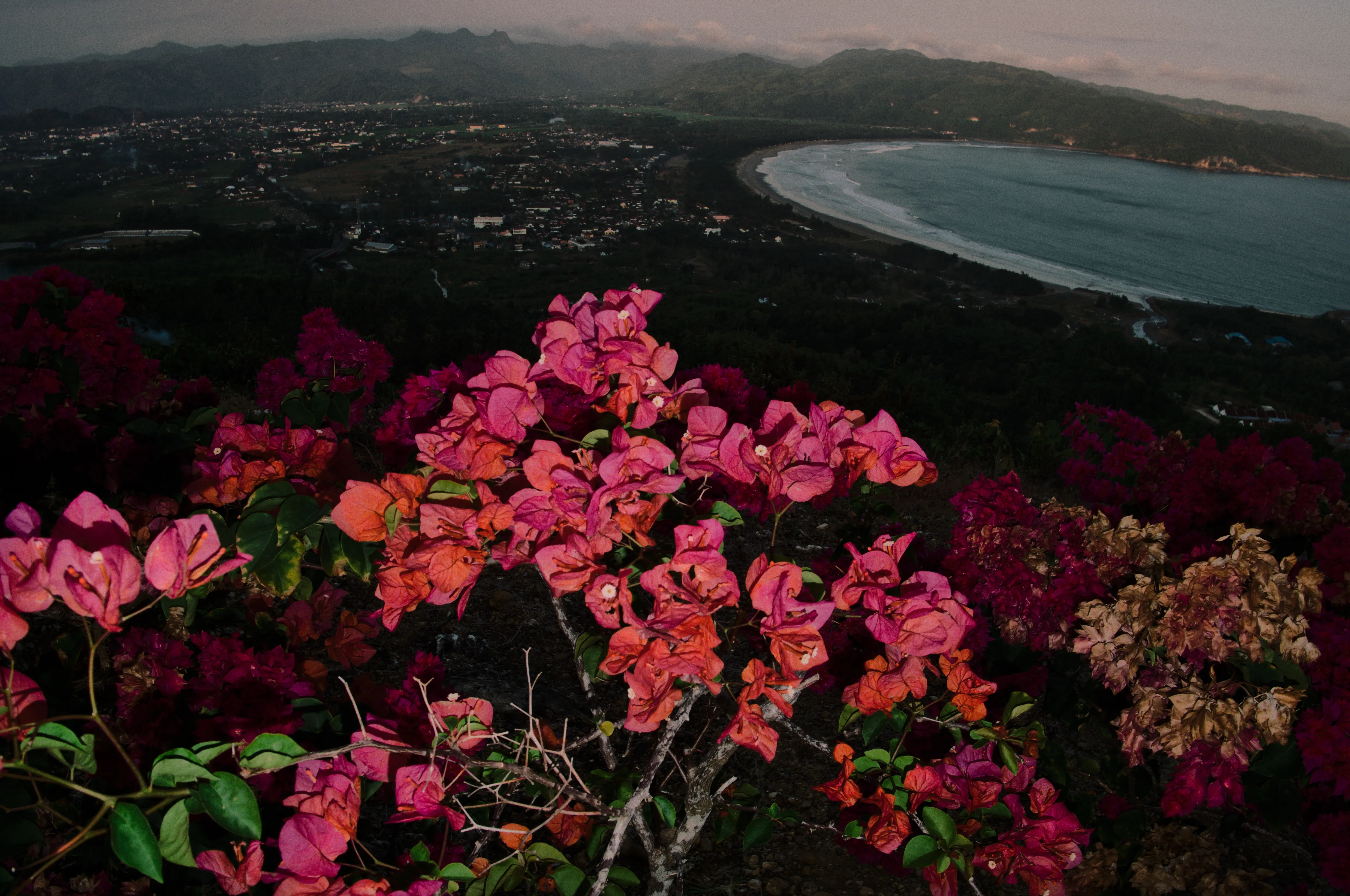 Header image